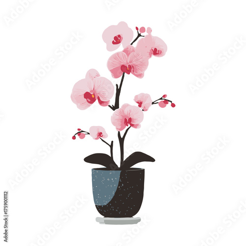 Pink orchid flowers in a black ceramic pot illustrated in flat style on a white background, symbolizing beauty, nature, and home decor