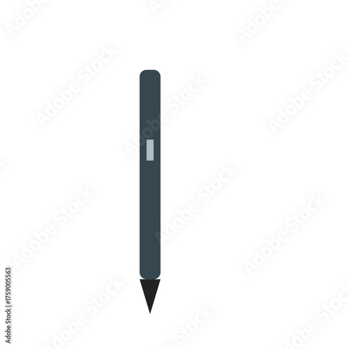 Stylus pen with tip and button