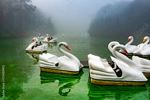 Swan-shaped pedal boat in the Black Lake in a fog day. Gramado is a hot spot tourist city. It’s one of the cities along the scenic route known as Romantic Route. RS, Brazil, 2022