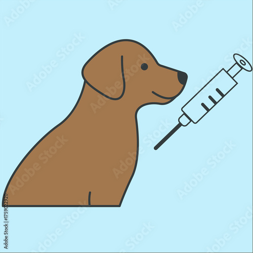 Dog with a rabies vaccine next to it with blue background