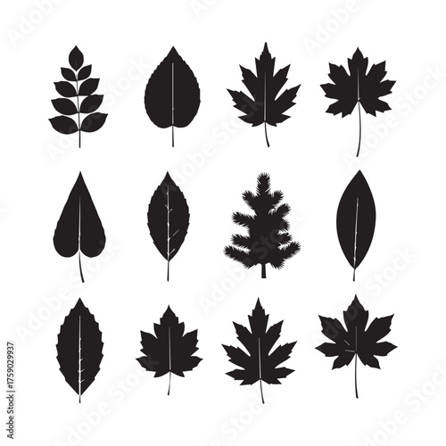 Collection of black silhouette autumn leaves with a grunge texture on a white background