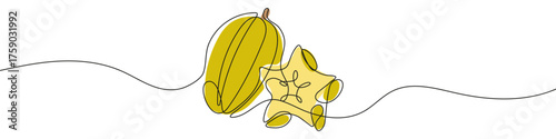Starfruit or Carambola in one line art style. Drawing of a whole fruit and its sliced star-shaped piece, with editable black stroke and color on white background. Vector illustration.