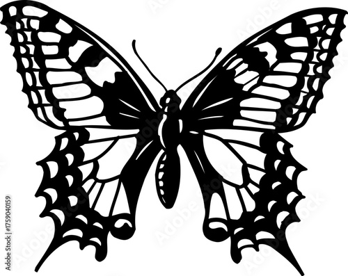 Butterfly Silhouette Elegant Decorative Vector in Black and White