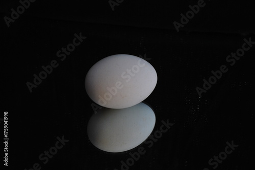 white egg on reflective mirror surface, black background, minimal composition, clean lighting, macro close-up, elegant contrast