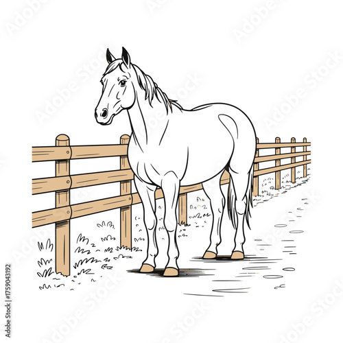 Elegant white horse standing calmly near a wooden fence illustration