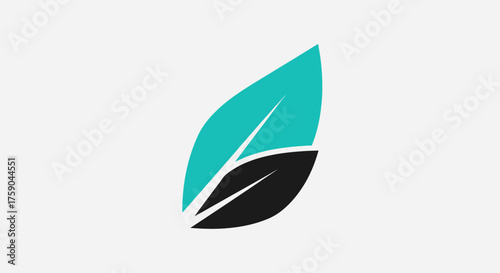 Teal leaf with black leaf overlapping against a light gray background