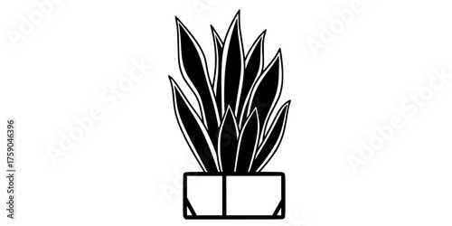 Architectural Snake Plant Vector - Bold line, high contrast flat black and white illustration of a Sansevieria houseplant for modern interior and clean design