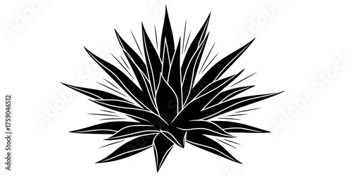 Agave Plant Architectural Vector - Bold line, graphic black and white illustration of a Century Plant for desert, organic, and architectural logo design