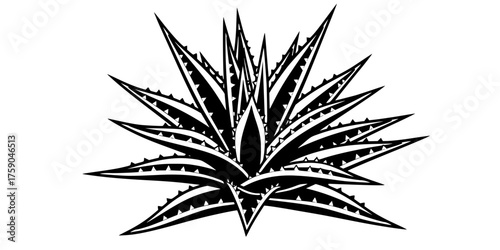 Agave Plant Architectural Vector - Bold line, graphic black and white illustration of a Century Plant for desert, organic, and architectural logo design