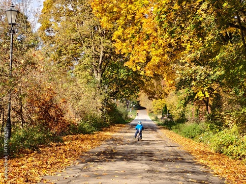  first bike ride during the autumn walk in the park with the beautiful nature around 