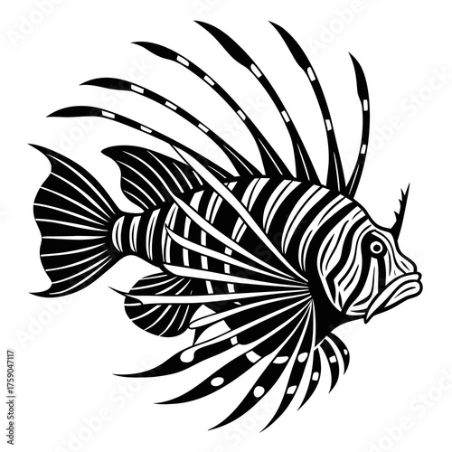 Stylized black and white lionfish illustration