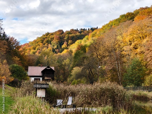 autumn in the mountains with the yellow and orange trees and brown village house