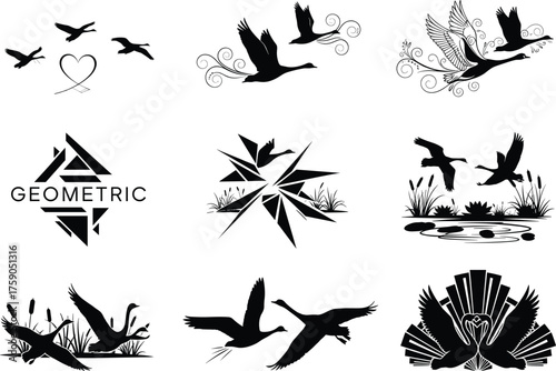 Flying cranes, geometric birds, decorative herons, nature-inspired vector set, minimal and ornate styles, black and white illustrations, wildlife art, elegant avian designs