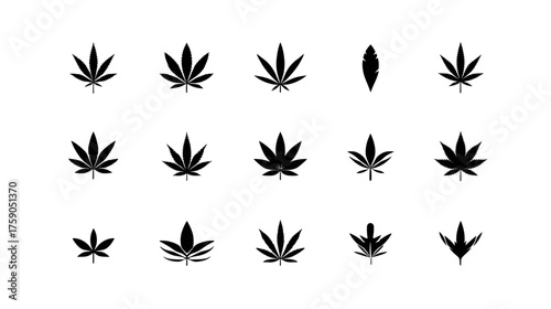 Set of diverse cannabis leaf icons. Black silhouettes of hemp and marijuana plants on white background, representing herbal and natural design elements.