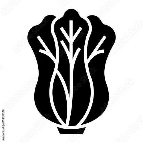 Vector art of fresh napa cabbage, a versatile vegetable for salads and asian cuisine