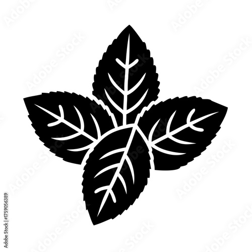 Vector art of four mint leaves, a simple vector illustration of fresh herbs for culinary use