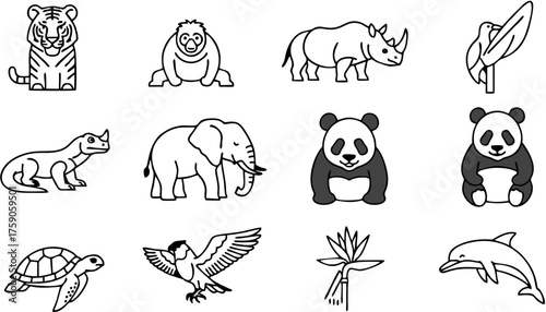 Photography wild animals collection