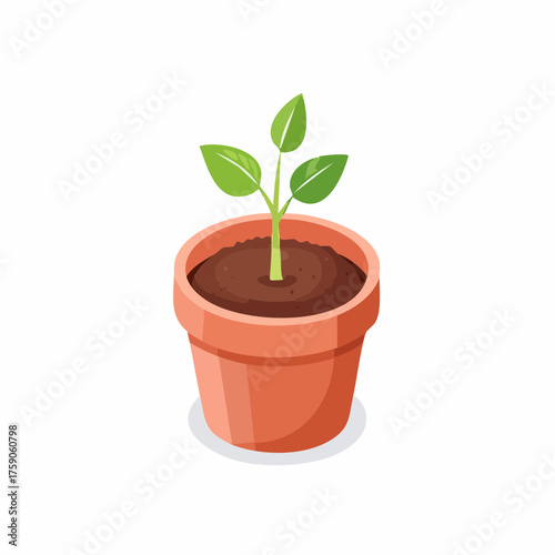 Illustration of a young plant sprouting in a terracotta pot against a white backdrop