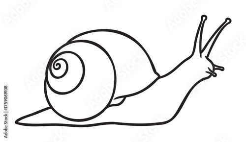 Black outline drawing of a snail with a spiral shell and extended antennae, depicted in a minimalist style.