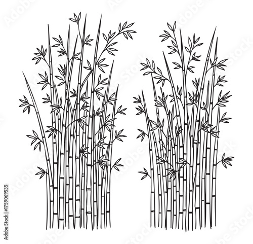 Black outline drawing of dense bamboo stalks with slender leaves, illustrating natural elegance and simplicity in asian-inspired design.