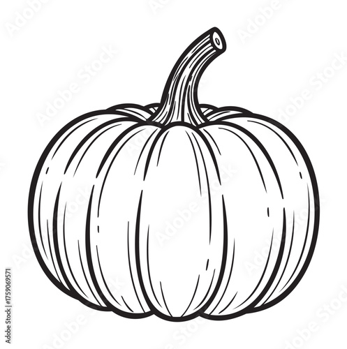 Black outline drawing of a round pumpkin with a curved stem, showcasing detailed linear grooves for harvest and autumn themes.