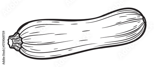 Black outline vector icon of a simple zucchini with detailed lines and a stem end. hand-drawn style for vegetable, gardening, and culinary themes.
