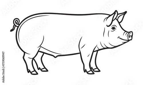 Black outline drawing of a pig in side profile, showcasing its curled tail and distinctive snout with minimal detail.