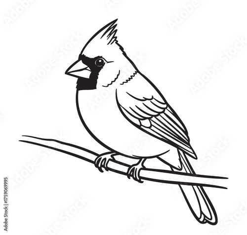 Black outline drawing of a cardinal bird perched on a branch, showcasing its distinctive crest and sharp beak in a minimalistic style.