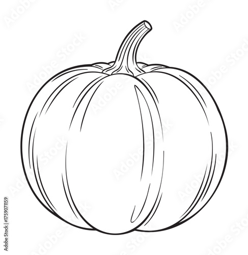 Black outline vector drawing of a pumpkin with distinct vertical grooves and a curved stem, ideal for halloween and autumn-themed designs.