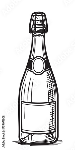 Black outline drawing of a champagne bottle with detailed cork and label, emphasizing its elegant curves and classic design.