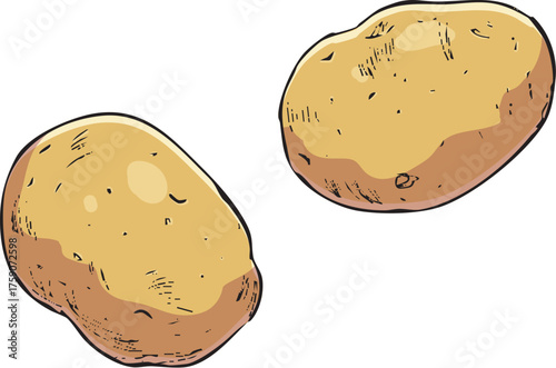 じゃがいも　イラスト　カラー