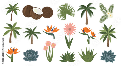 Tropical paradise of palm trees coconuts and exotic flowers illustration.
