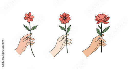 Three hands delicately hold a single flower each in a simple line drawing illustration.