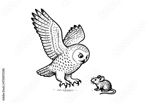 Snowy Owl hand drawn simple engraved vector illustration