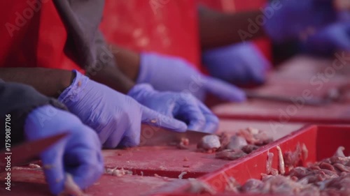 Closeup butchering meat industry. Cutting Raw meat for processing.