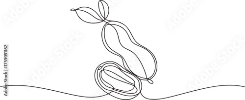 Minimalist single line drawing of split peas and leaves legume food