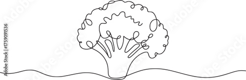 Single line drawing of broccoli on wavy ground vegetable food