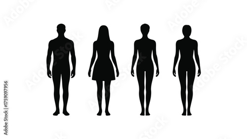 Man and woman body silhouette. Human figure outline. Male and  female front view body shapes standing. vector design.