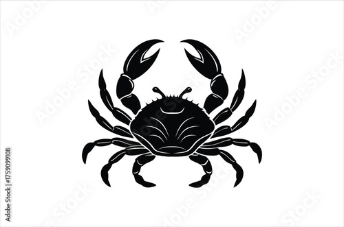 beach life vector,  icon vector illustration,beach life silhouette of a beach life isolated on a white background, eps, png, svg, vector,