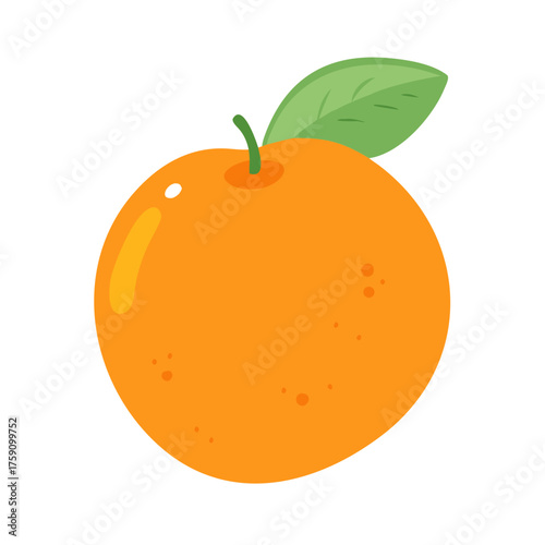 orange vector illustration