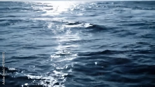 An ocean scene depicting a body of water with sunlight reflecting off of the surface