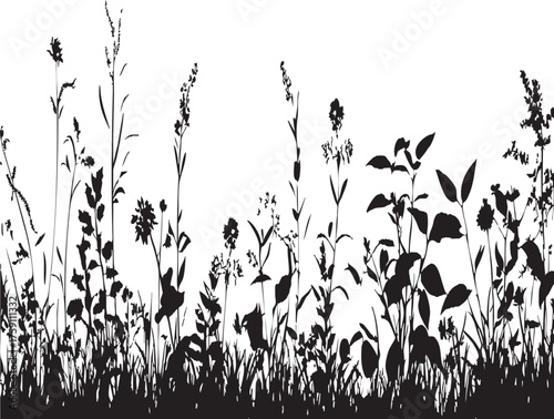 Wild Grass and Flower Silhouette Border