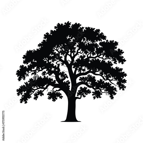 Silhouette of a large majestic oak tree with full foliage