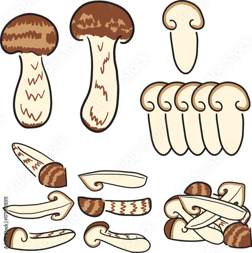 手描き風松茸イラスト