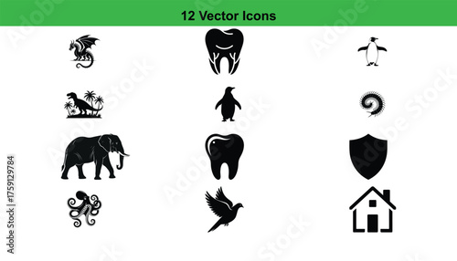 A collection of 12 distinct vector icons presented in a silhouette style, each isolated on a clean white background.