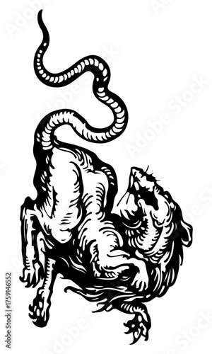 monster tattoo illustration skull snake dragon rat
