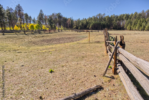 Murrays Lake Corral in Kaibab Forest AZ