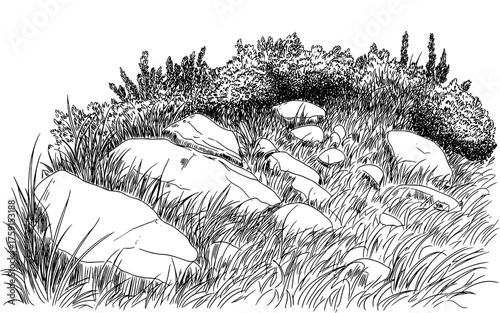 Detailed drawing of a natural hillside covered with grass, stones, and bushes, representing wilderness, nature, and outdoor scenery.