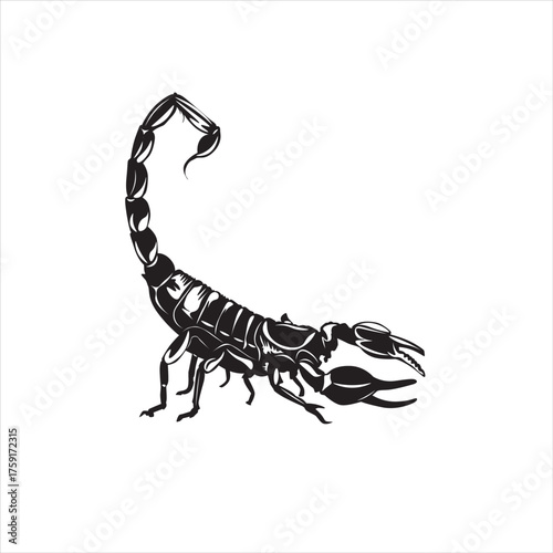 scorpion, a venomous animal