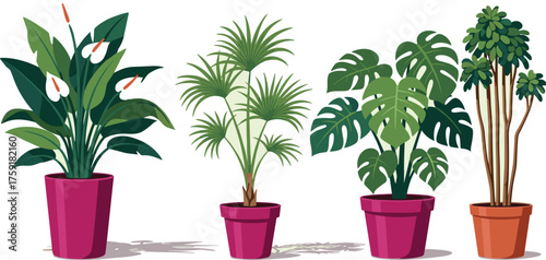 Vibrant Indoor Plants Collection in Colorful Pots Illustration: Decorative Greenery for Home Decor, Modern Living Spaces, Botanical Designs & Tropical Themes. Adds Freshness, Style for Presentation, M